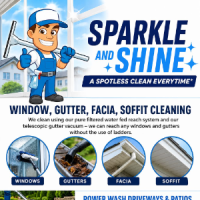 Sparkle & Shine 300.png